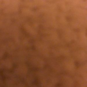 Meet your Posher, Camile